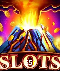 Sistemas de Segurança 55r